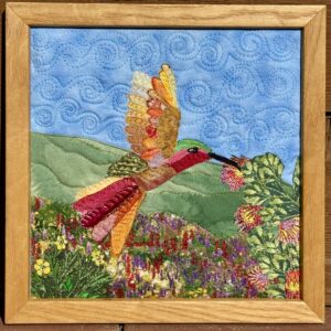 Allen’s Hummingbird